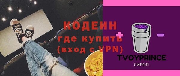 стаф Кодинск
