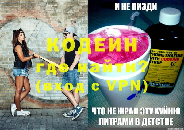 стаф Кодинск