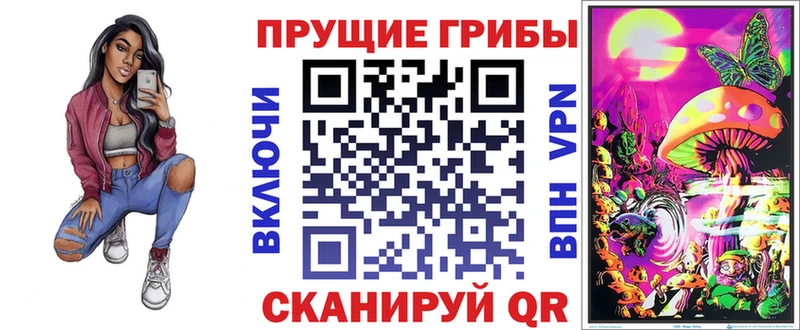 hydra как войти  Киреевск  Галлюциногенные грибы Psilocybine cubensis 