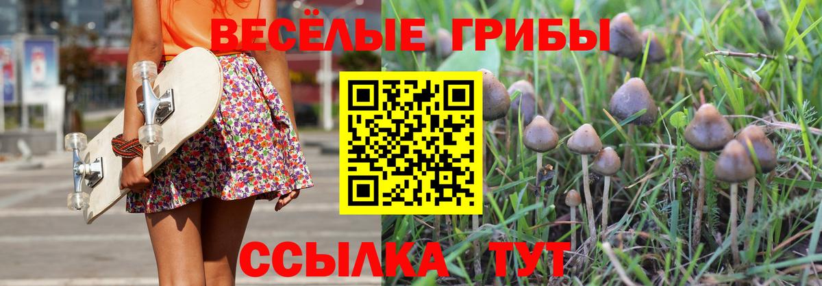 Псилоцибиновые грибы мицелий  Вход с VPN  Киреевск 