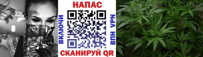 Бошки марихуана Bruce Banner  omg ссылка  Киреевск  закладка 